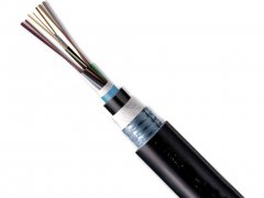光缆线4芯 6芯 12芯 24芯 单模 光纤线缆 室外 铠装
